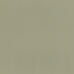 House 903 Fog
