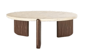 Whitney Set